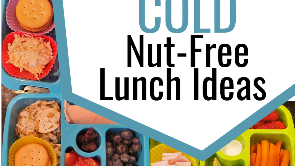 10 Easy Healthy Nut-Free Lunch Ideas