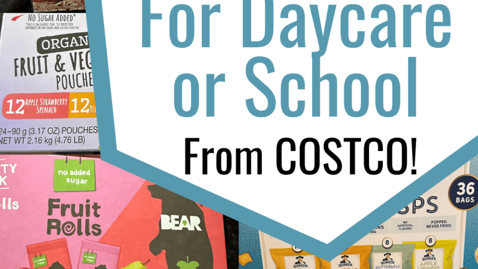 Costco Snack Ideas – 10 Amazing Healthy Snack Ideas for Kids!