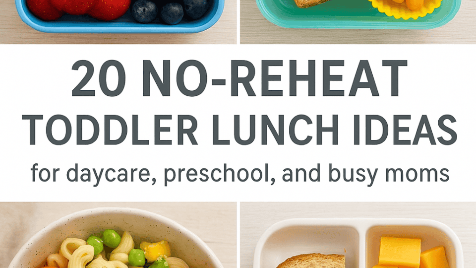 20 No‑Reheat Toddler Lunch Ideas for Daycare, Preschool, and On‑the‑Go Moms